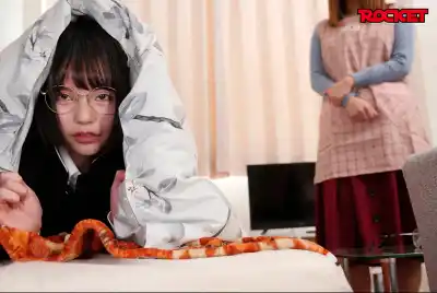 キャプチャ画像2