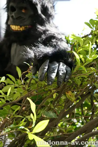 キャプチャ画像6