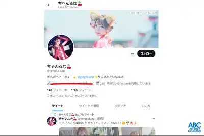 キャプチャ画像1