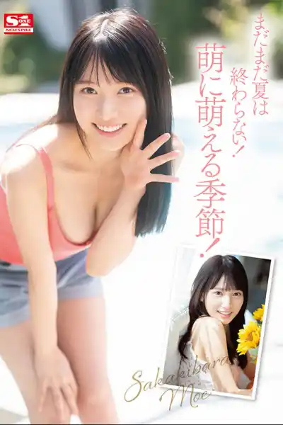 キャプチャ画像4