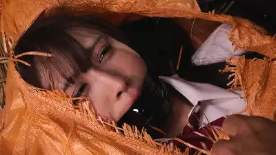 キャプチャ画像3