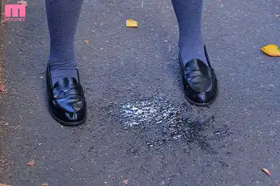 キャプチャ画像12